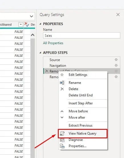 Menú contextual de un paso aplicado en Power Query con la opción View Native Query resaltada